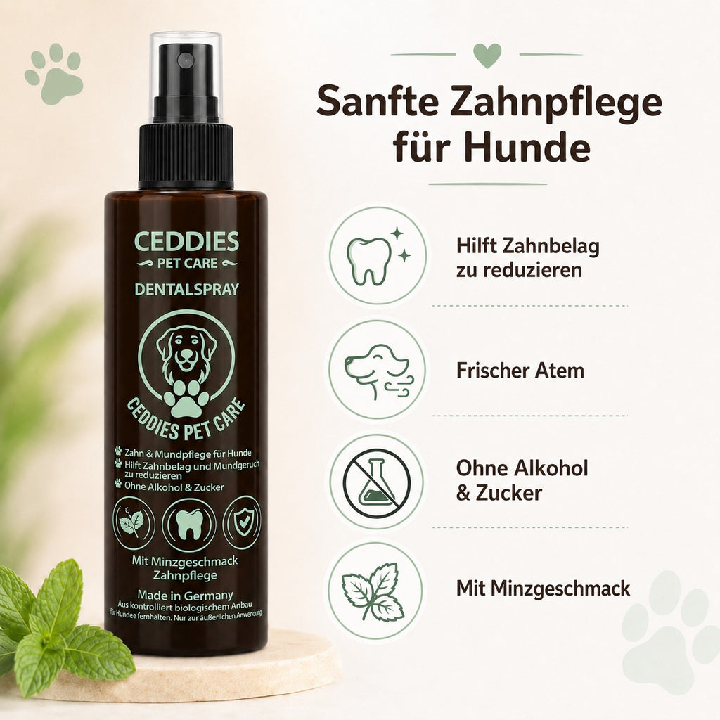 Dentalspray für Hunde – Probiotische Zahnpflege & frischer Atem | Ceddies Pet Care