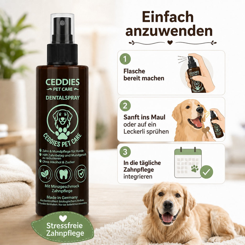 Dentalspray für Hunde – Probiotische Zahnpflege & frischer Atem | Ceddies Pet Care