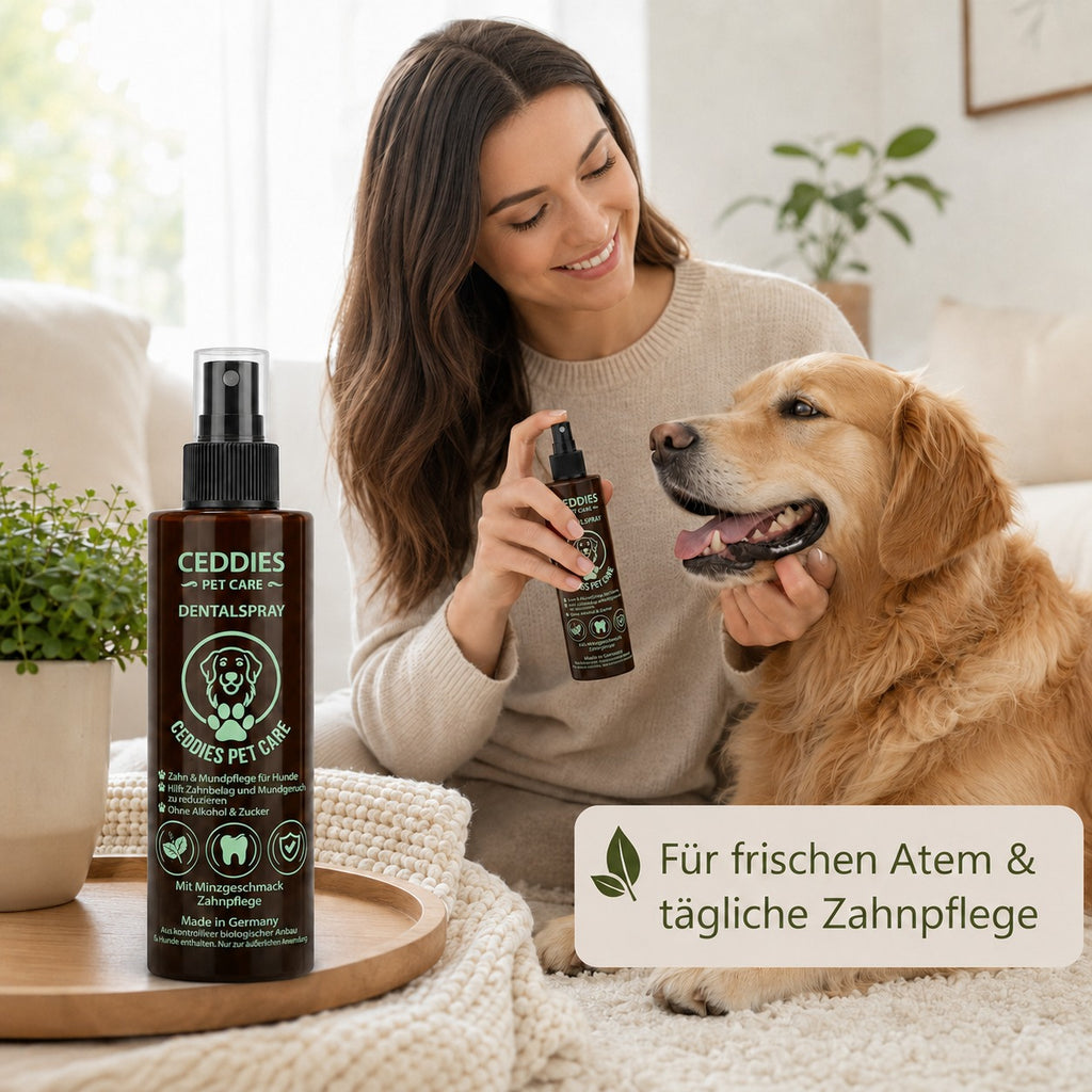 Dentalspray für Hunde – Probiotische Zahnpflege & frischer Atem | Ceddies Pet Care